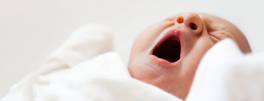 How much should a newborn eat every day?